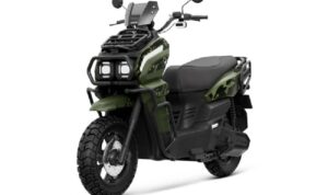 WhatsApp Image 2026-03-31 at 13.34.06