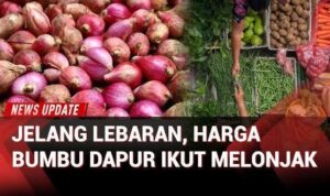 ec5030729e00059d484a5695f1bc34fd38c1329805d5ea4356c5773cf273d953.0